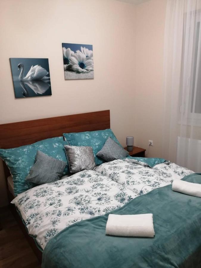 Olga Apartman 塞格德 外观 照片