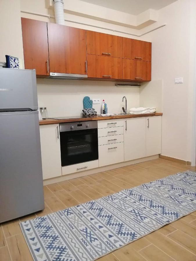 Olga Apartman 塞格德 外观 照片
